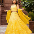 Self Work Party Lehenga