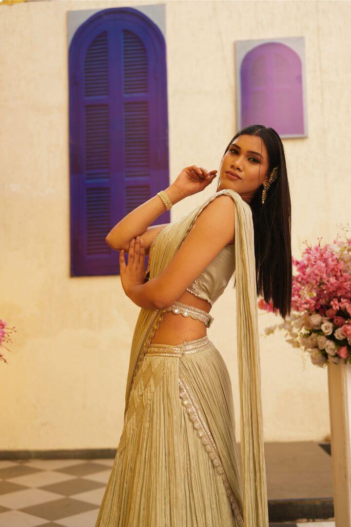 Champagne Gold Embellished Crop Top, Skirt & Drape Set